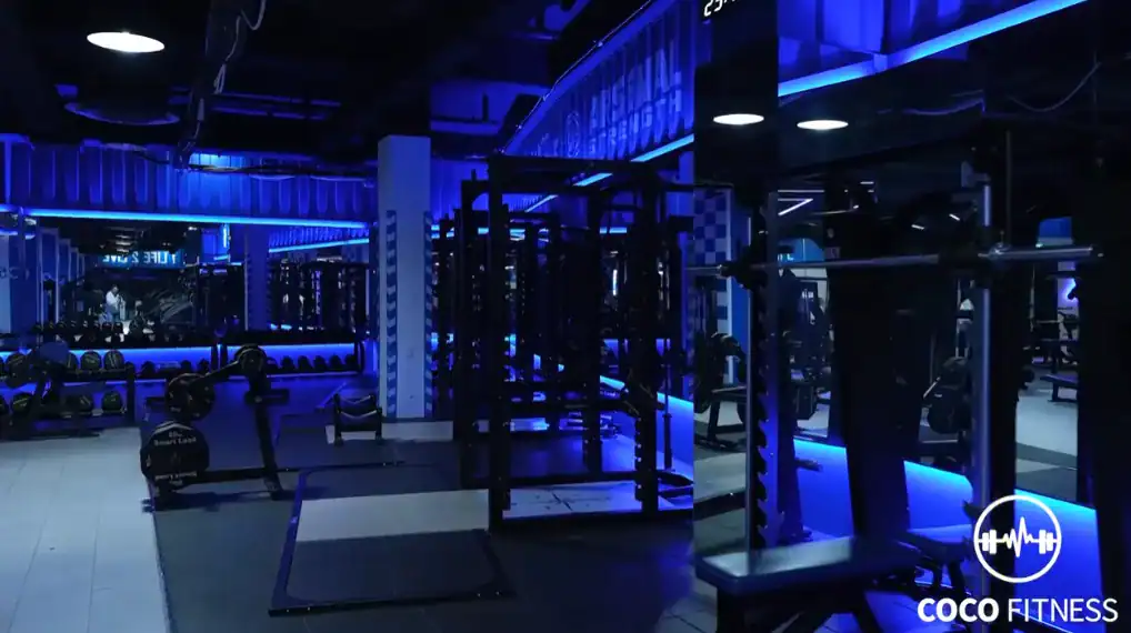 Mind, Body, and Soul, Today is a Whole - A Media Detox and a Day in the Life of a Dominant Physical