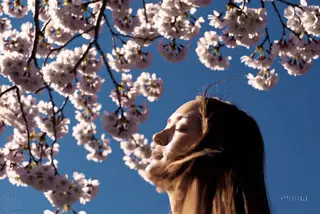 The woman's hair is blowing in the wind with the petals.