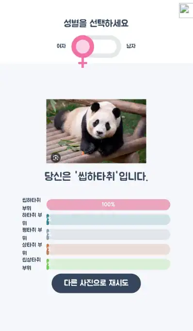 The panda's facial evaluation reads 'shitfaced".