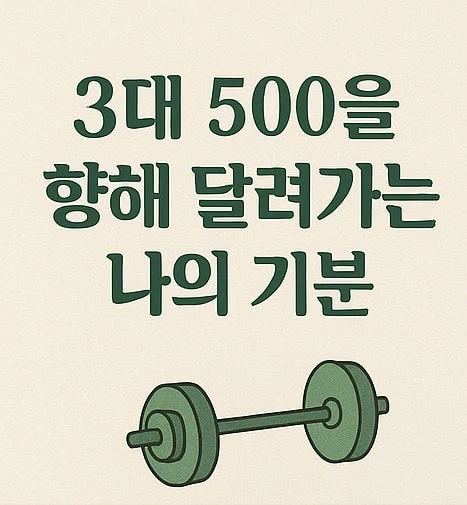 3대 500을 향해 달려가는 나의 기분.