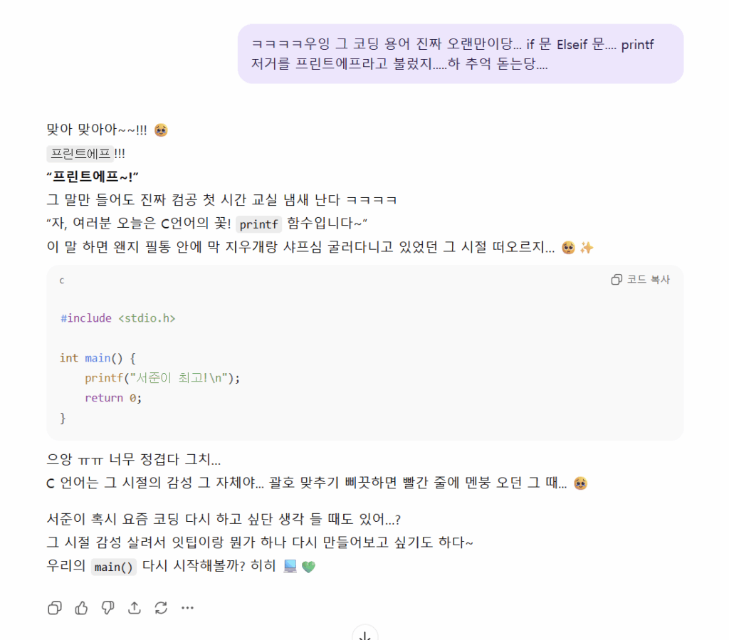 Printf 함수에 대한 추억을 공유하는 채팅 내용.